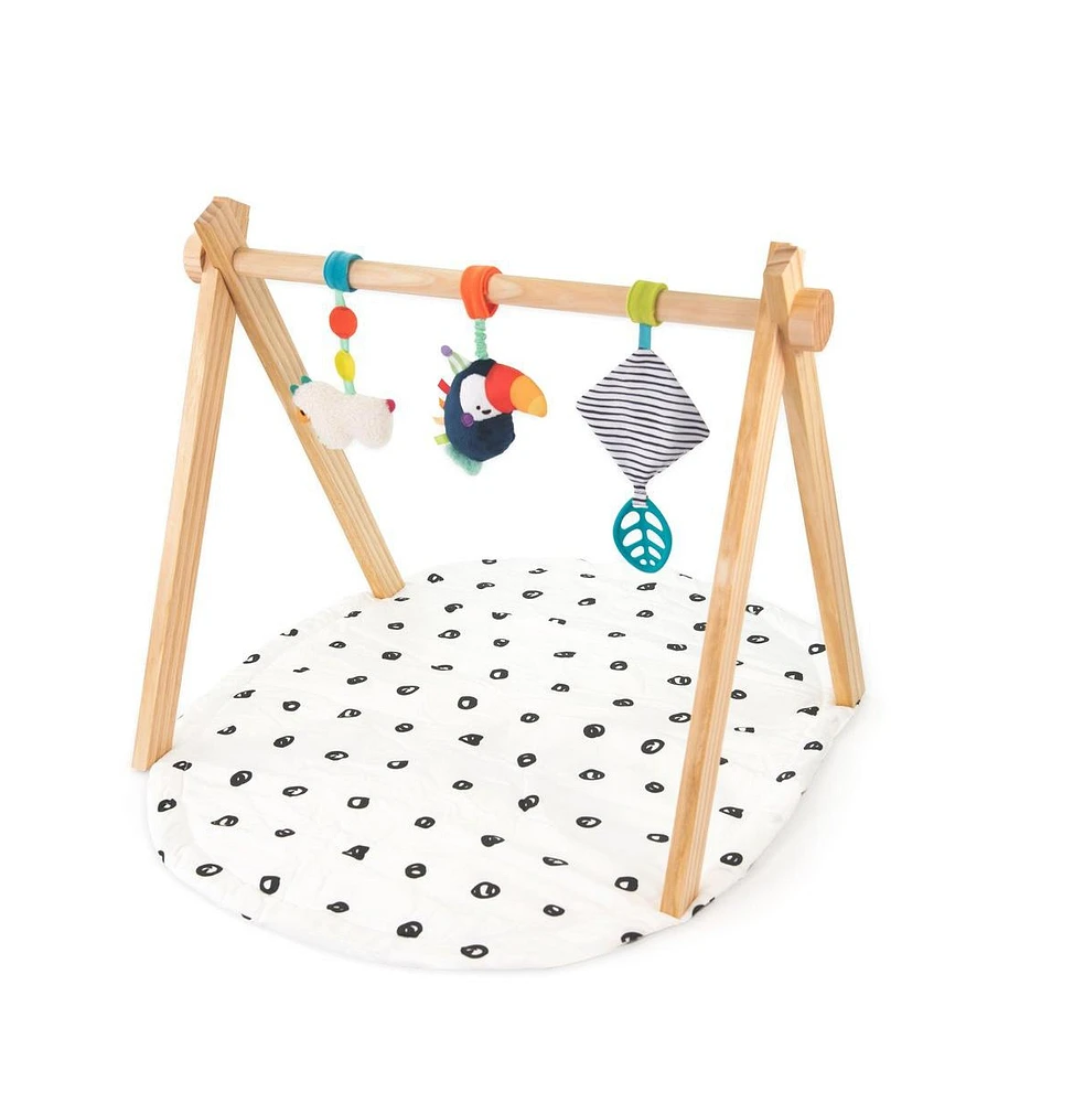 Sassy Sproutin' Safari Eco Playmat - 0+ months - Assorted Pre