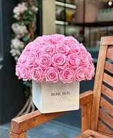 Rose Box Nyc Half Ball of Long Lasting Preserved Real Roses in Square Classic Ceramic Vase, 35 Roses