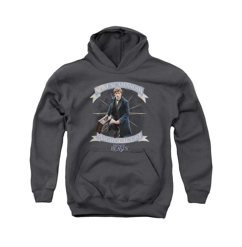 Fantastic Beasts Boys Youth Newt Scamander Pull Over Hoodie / Hooded Sweatshirt