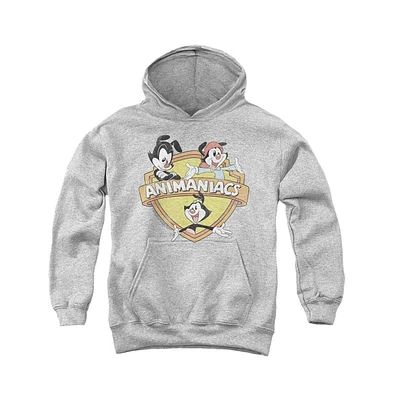 Animaniacs Youth Shielded Pull Over Hoodie / Hooded Sweatshirt