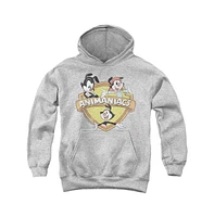 Animaniacs Boys Youth Shielded Pull Over Hoodie / Hooded Sweatshirt