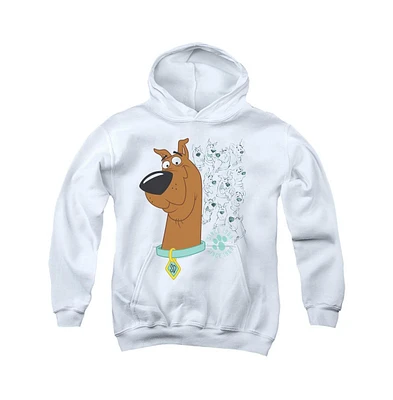 Scooby Doo Boys Youth Evolution Of Pull Over Hoodie / Hooded Sweatshirt