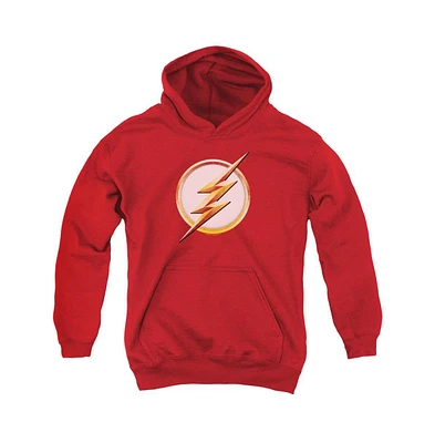 Flash Boys Youth Season 4 Logo Pull Over Hoodie / Hooded Sweatshirt