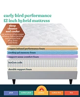 Corsicana Early Bird 12" Medium Mattress
