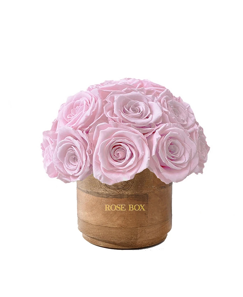 Rose Box Nyc Half Ball of Light Pink Long Lasting Preserved Real Roses Mini Rustic Vase, 26-29 Roses