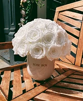 Rose Box Nyc Half Ball of Pure White Long Lasting Preserved Real Roses in Classic Ceramic Vase, 35 Roses