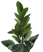 Monarch Specialties 20" Indoor Artificial Zz Plant with Decorative Grey Cement Pot