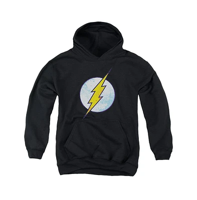 Flash Boys Dc Youth Comics Neon Distress Logo Pull Over Hoodie / Hooded Sweatshirt