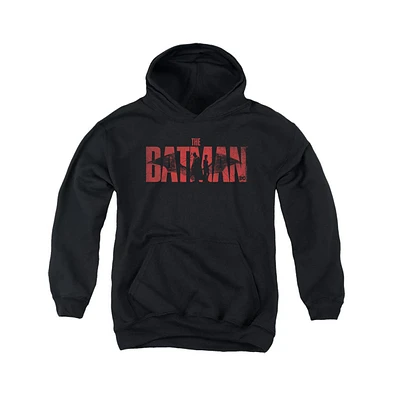 Batman Boys The Youth And Catwoman Pull Over Hoodie / Hooded Sweatshirt