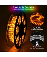 DELight 150FT Warm White Led Neon Rope Lights Cuttable w/ App Remote Waterproof