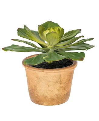Vickerman 9" Artificial Succulent, Paper Pot.