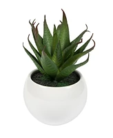 Vickerman 5" Artificial Assorted Potted Succulents.