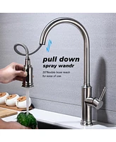 Kitchen Faucet With Pull Out Sprayer