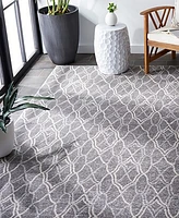 Safavieh Amherst AMT417 Gray and Light Gray 3' x 5' Area Rug