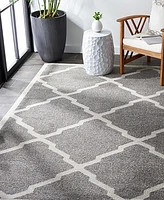 Safavieh Amherst AMT421 Dark Gray and Beige 6' x 9' Area Rug