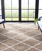 Safavieh Amherst AMT421 Wheat and Beige 10' x 14' Area Rug