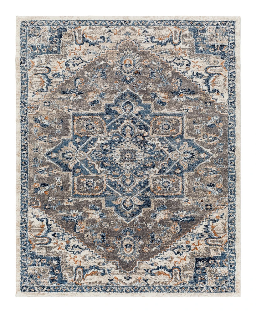 Surya Tuscany Tus-2334 4'3x5'7 Area Rug