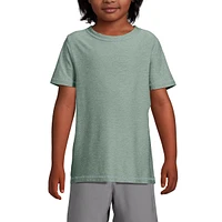 Lands' End Boys Graphic Active Tee