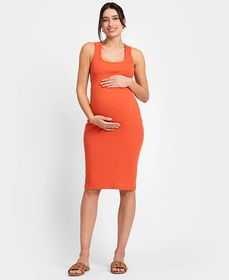 Seraphine Women's Jersey Bodycon-Style Maternity-To-Nursing Dress