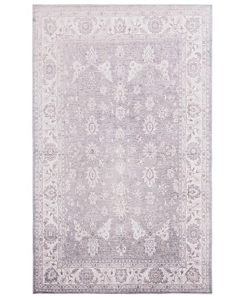 Safavieh Arizona Washable 197 ARZ197 3'x5' Area Rug