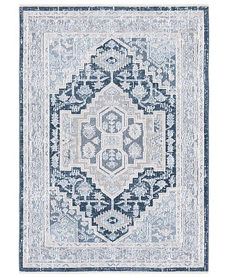 Safavieh Blair Washable 210 BLR210 4'x6' Area Rug