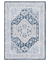 Safavieh Blair Washable 210 BLR210 4'x6' Area Rug