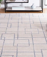 Safavieh Blair Washable 238 BLR238 8'x10' Area Rug