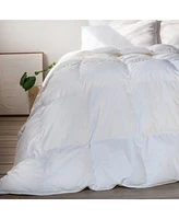 Extra Warm Down Alternative Duvet Comforter Insert