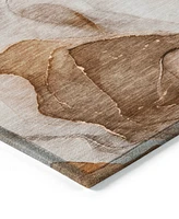 Addison Chantille Machine Washable ACN504 2'6x3'10 Area Rug