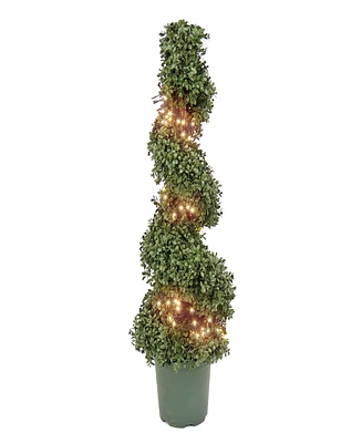 National Tree Company 44 Pre-Lit Artificial Boxwood Spiral Topiary