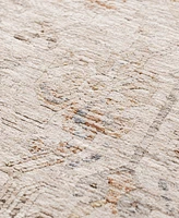Dalyn Vienna VI4 7'10x10' Area Rug