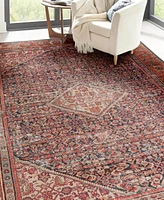 Dalyn Kars KA4 10'x13' Area Rug