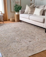 Dalyn Vienna VI3 7'10x10' Area Rug