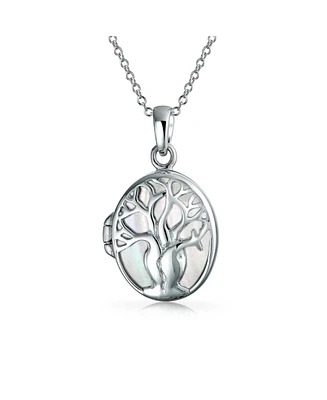 Bling Jewelry Matriarch Rainbow Abalone Mother Of Pearl Oval Celtic Tree Family Tree Of Life Locket Holds Photos Necklace For Women .925 Sterling Silv