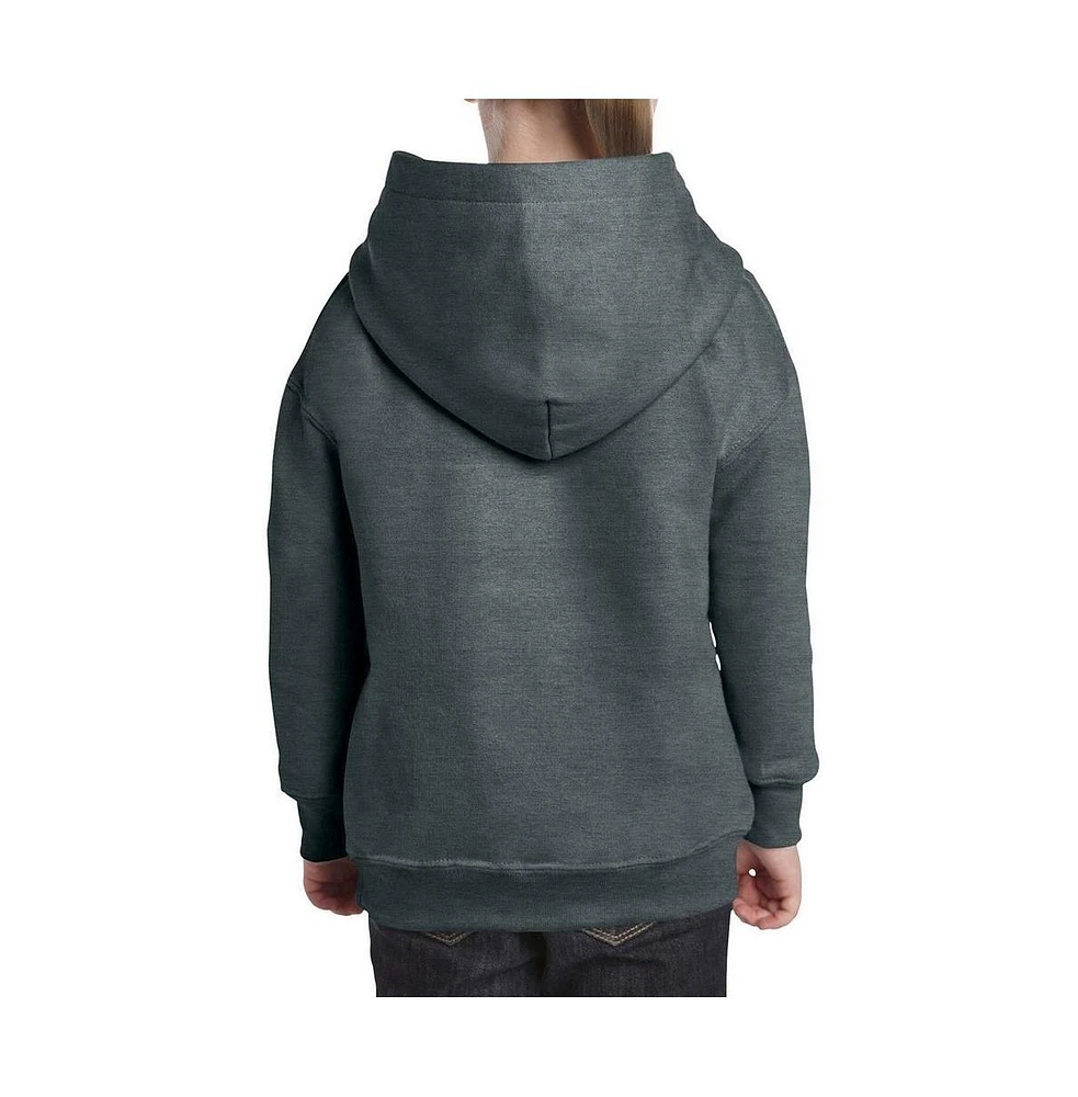 Justice League Boys of America Youth United Stars Pull Over Hoodie / Hooded Sweatshirt