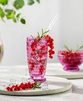 Villeroy & Boch Boston Highball Glass