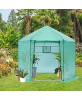 Hexagonal Reinforced Walk-In Greenhouse