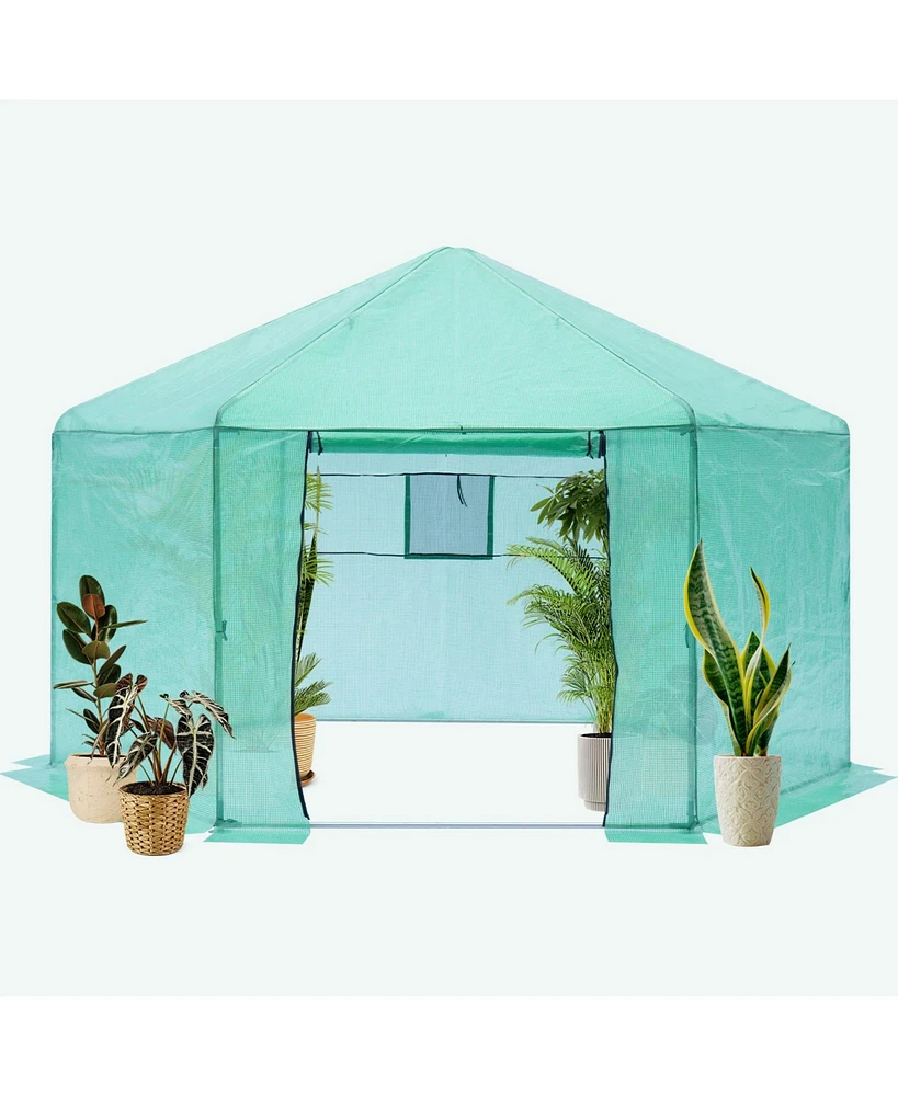 Simplie Fun Hexagonal Reinforced Plastic Greenhouse