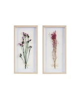 Streamdale Furniture Avant Garden Dried Flower 2-Piece Shadow Box Wall Decor Set