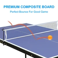 Midsize Foldable Table Tennis Set for Indoor/Outdoor