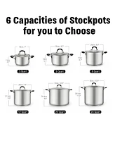 Cook N Home Stockpot Sauce Pot Casserole Pan Saucier Induction With Lid Professional Stainless Steel 3 Quart , Dishwasher Safe Stay-Cool Hand