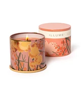 Illume Paloma Petal Vanity Tin Candle