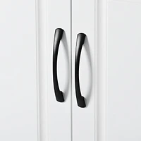 Adjustable Modern Shoe Cabinet & Organizer