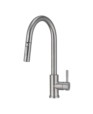 Mondawe Kitchen Sink Faucet with Pull Out Sprayer - Single Hole Solid Brass Body, Two Function Spray