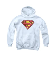 Superman Boys Youth Airbrush Shield Pull Over Hoodie / Hooded Sweatshirt