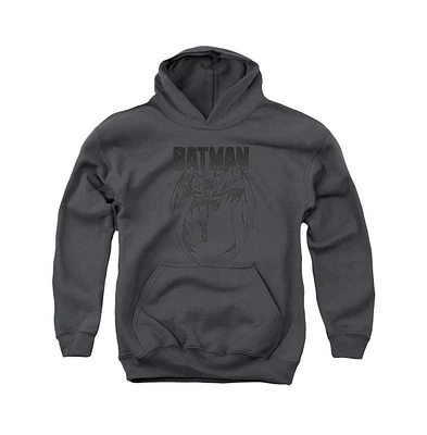 Batman Boys Youth Grey Noise Pull Over Hoodie / Hooded Sweatshirt