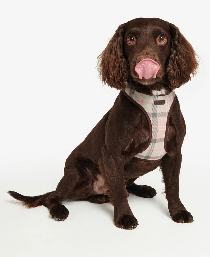 Barbour Tartan Dog Harness