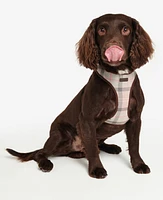 Barbour Tartan Dog Harness