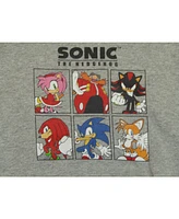 Starwars Boys Sonic the Hedgehog Modern Characters Youth Heather Grey Graphic Hoodie