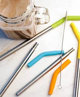 Rsvp International Endurance Stainless Steel 5 Piece 9" Silicone Tip Straw and Brush Set